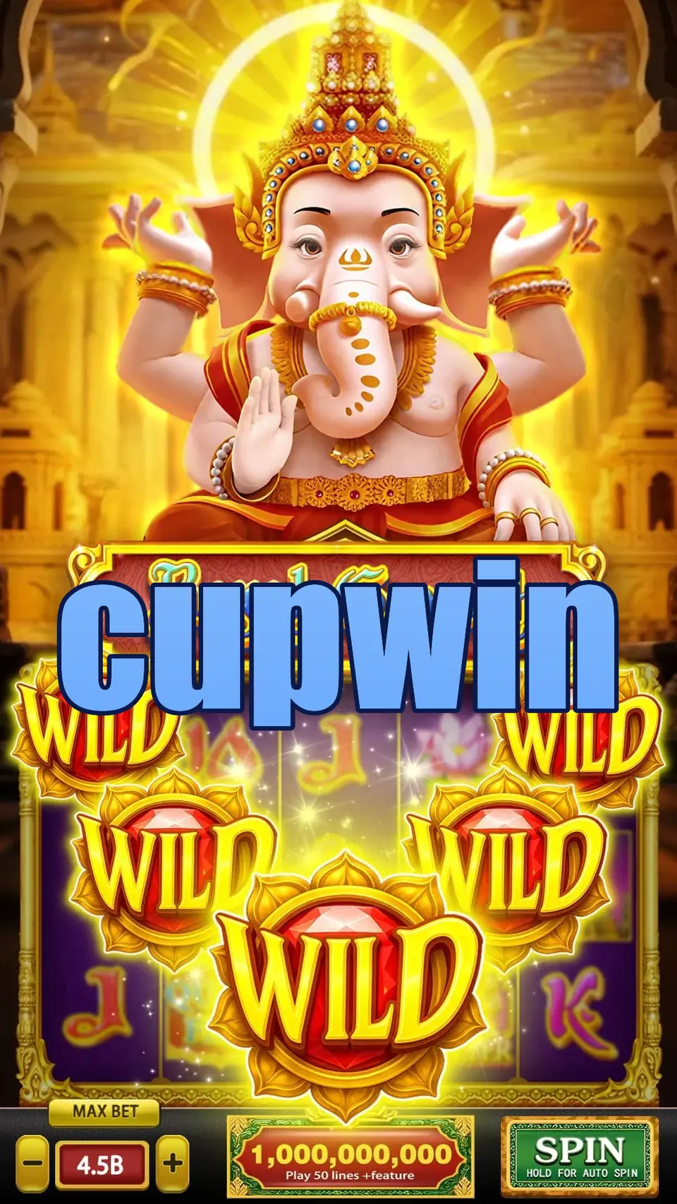 cupwin Login